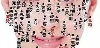 b型血女人的性格特点 B型血女生性格解析