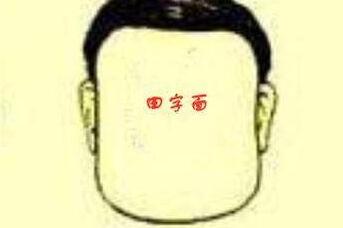 田字脸形面相分析 田字脸型与命运