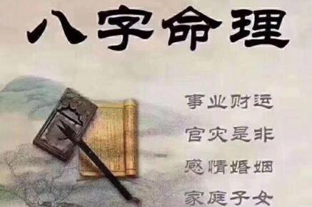 甲木男是什么意思,如何分析甲木生十二个月命理？