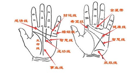 b型血女人的性格特点 B型血女生性格解析