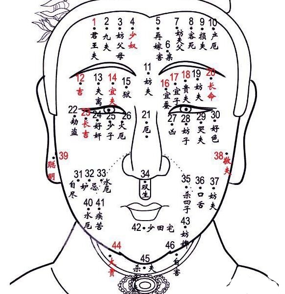 面部脸上长有痣的好不好 脸部上有痣看面痣面相图解面痣图解男性女性